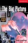 THE BIG PICTURE LEVEL 1
