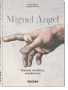 MIGUEL ÁNGEL. PINTURA, ESCULTURA Y ARQUITECTURA. 4
