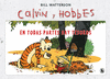 EN TODAS PARTES HAY TESOROS ( CALVIN Y HOBBES )