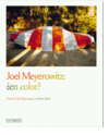 JOEL MEYEROWITZ: ¿EN COLOR?