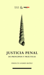 JUSTICIA PENAL. DE PRINCIPIOS Y PRACTICAS