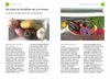 MANERAS DE COCINAR VERDURAS Y HORTALIZAS