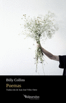 POEMAS ( BILINGUE: INGLES / CASTELLANO )