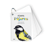 FÍJATE: PÁJAROS (FICHAS)