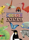 COLOR ANIMAL (CATALÀ)