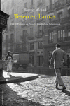 TESEO EN LLAMAS ( XXVII PREMIO DE NOVELA CIUDAD DE SALAMANCA )