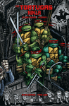 TORTUGAS NINJA, LAS: LA SERIE ORIGINAL Nº 3