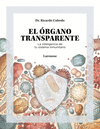 ÓRGANO TRANSPARENTE, EL. LA INTELIGENCIA DE TU SISTEMA INMUNITARIO