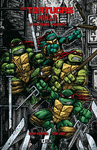 TORTUGAS NINJA, LAS: LA SERIE ORIGINAL Nº 5