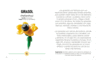 FLORES SILVESTRES