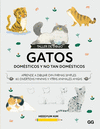 TALLER DE DIBUJO: GATOS DOMESTICOS Y NO TAN DOMESTICOS