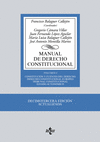 MANUAL DE DERECHO CONSTITUCIONAL VOL.I (13º EDICION)