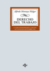 DERECHO DEL TRABAJO (41º EDICION)