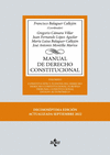 MANUAL DE DERECHO CONSTITUCIONAL