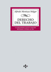 DERECHO DEL TRABAJO (45ª EDICION)