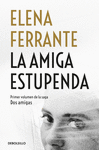 AMIGA ESTUPENDA, LA (DOS AMIGAS, 1)