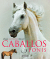 CABALLOS Y PONIS (ATLAS ILUSTRADO)
