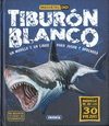 TIBURON BLANCO (MAQUETAS 3D)