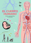 CUERPO HUMANO, EL (SECRETOS, DATOS DIVERTIDOS Y CURIOSIDADES)