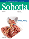SOBOTTA TOMO 1 ATLAS DE ANATOMIA HUMANA ( ANATOMIA GENERAL Y APARATO LOCOMOTOR )