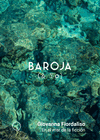 EN EL MAR DE LA FICCIÓN (BAROJA & YO)