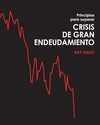 PRINCIPIOS PARA SUPERAR CRISIS DE GRAN ENDEUDAMIENTO