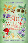 MAPA DE EMILY WILDE DE LAS TIERRAS EXTRAÑAS, EL